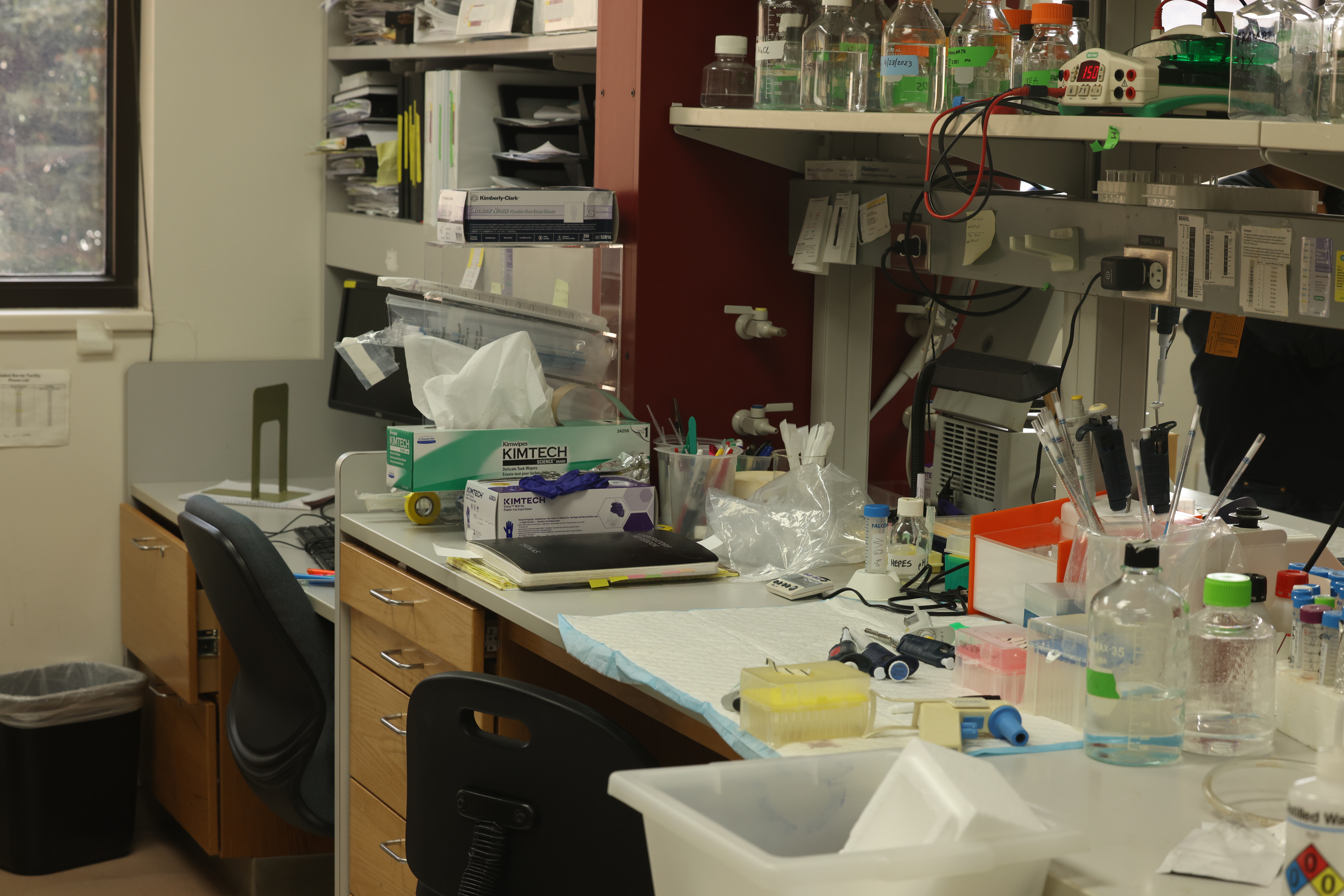 Modern laboratory equipment, including glass beakers, a digital scale, and a microscope on a clean metal workbench.